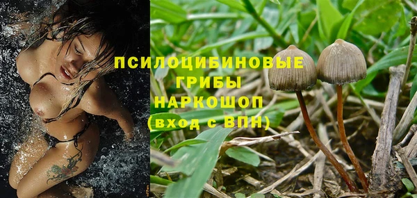 мяу мяу кристалл Алексин