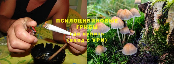 скорость Алзамай