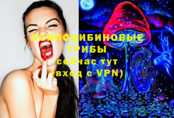 скорость Алзамай