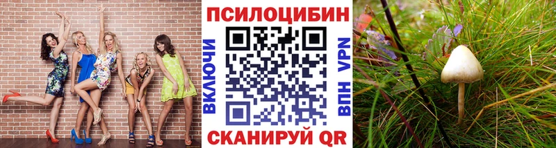 Галлюциногенные грибы прущие грибы  Анжеро-Судженск 