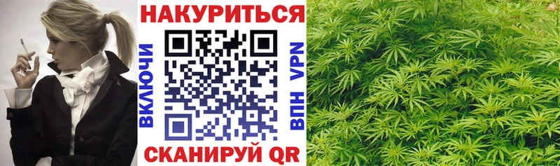 Конопля план  Анжеро-Судженск 